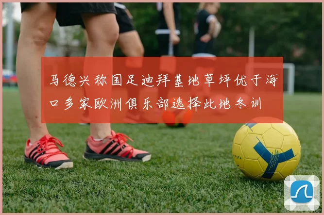 马德兴称国足迪拜基地草坪优于海口多家欧洲俱乐部选择此地冬训
