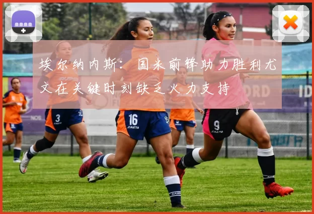 埃尔纳内斯：国米前锋助力胜利尤文在关键时刻缺乏火力支持