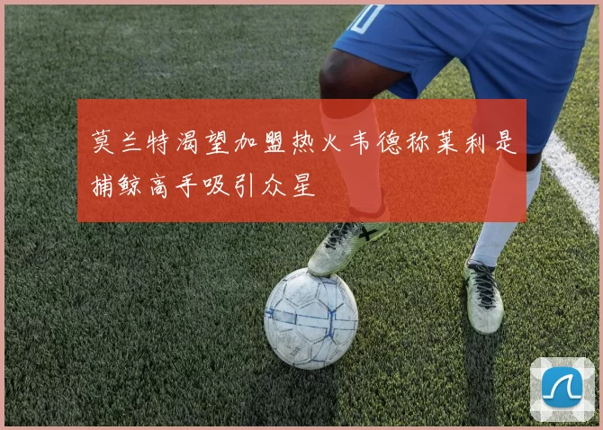 莫兰特渴望加盟热火韦德称莱利是捕鲸高手吸引众星